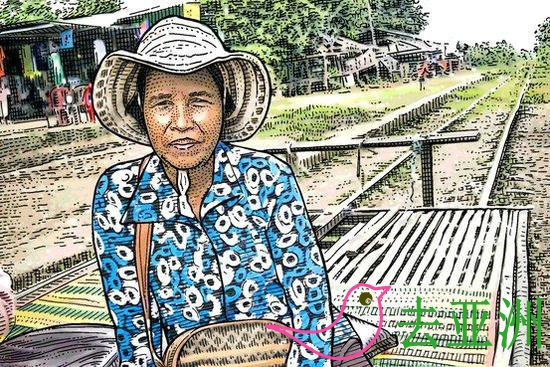 华尔街日报上刊出了柬埔寨第一无二的交通工具，瞬间亮瞎世人的眼睛，那就是：竹火车，当地人称之为“norry”。
