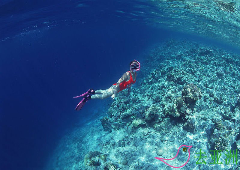 马来西亚潜水圣地，潜水天堂，马来西亚哪些地方可以潜水