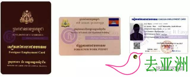 柬埔寨商务签证新规，把商务签证延期6个月或1年必须要有劳工证