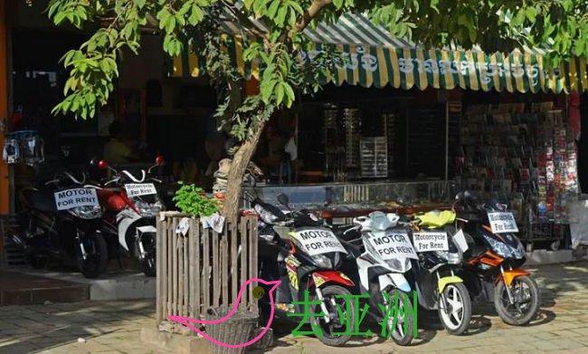 暹粒政府警告：停止向外国游客出租摩托车和各