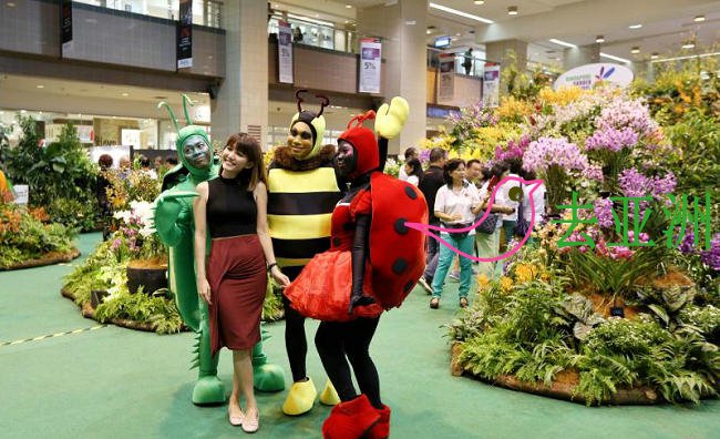 新加坡花园节今年首次分成三大部分举行，也推