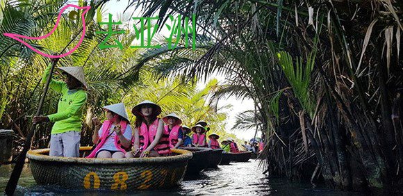 会安锦清乡的七亩椰林，乘坐小圆舟观光水椰林