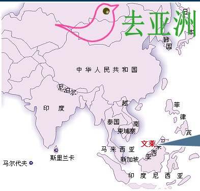 文莱地图，文莱在什么地方，与中国的距离