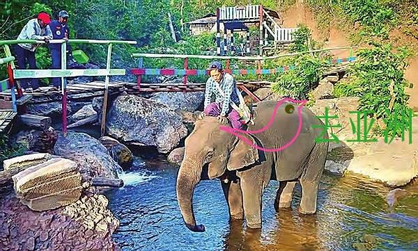 掸邦南部的掸佑玛大象营地，自然山水及瀑布的