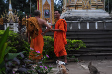 Wat Luang是巴色最大最美丽的寺庙，也可以在这里观看僧侣接受布施，而且和琅勃拉邦不同，这里的游客很少。