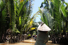 迦南岛位于越南岘港会安古镇秋盆河上，贯穿岛屿的水椰林是重大看点，在会安bach dang路码头可搭船前往迦南岛。岛上还有农家乐，提供自家种的蔬菜及餐