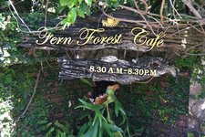 Ferm Forest Café