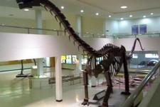孔敬恐龙博物馆Phu Wiang Dinosaur Museum