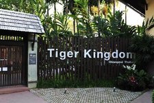 老虎园Tiger Kingdom