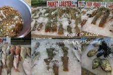 Patong Seafood