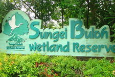 双溪布洛湿地保护区Sungei Buloh Wetland Reserve