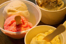 Island Creamery是一家非常独特的冰淇淋店。2004年开业时店主的理念就是打造一家脱俗的冰淇淋店，以售卖新鲜制成并具有新加坡当地风味的冰淇淋为特色。这