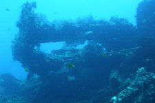 自由号是二战时美国的军用货船，被日本炮弹击中，后沉入海底。在这里初级潜水员和有经验的潜水者都能有新奇发现。