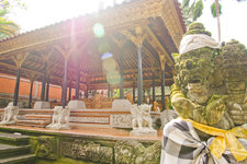 皇宫位于乌布的繁华地带(Jl. Monkey Forest和Jl. Raya Ubud交叉口)。16世纪时乌布王朝聘请著名艺术家规划设计而成，华丽的巴厘岛特有建筑风格值得一游，还可以