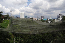吉隆坡飞禽公园Kuala Lumpur Bird Park