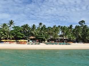 椰子海滩度假村