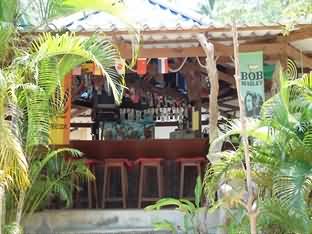 热带雨林酒吧＆小屋