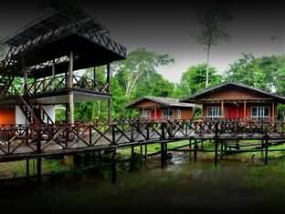 婆罗洲自然小屋旅馆