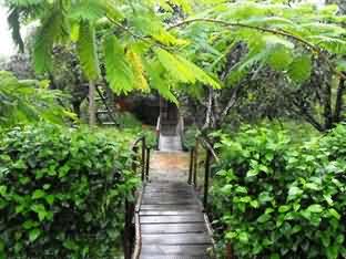 Ut Phuong Ecological Garden Resort