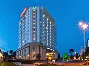 西贡新山一酒店