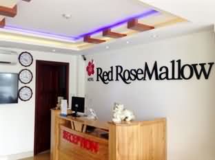 Red Rosemallow Hotel Danang