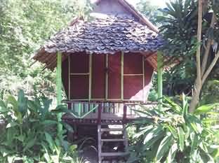 Purple Monkey Guesthouse