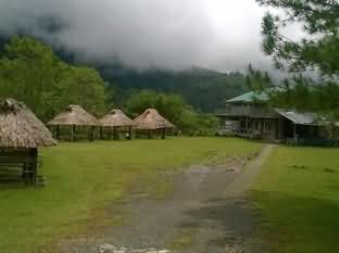 Banaue Ethnic Village and Pine Fores