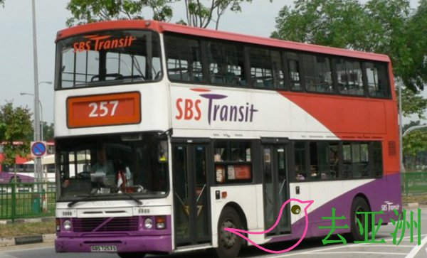 新加坡公交车乘坐指南，新加坡巴士乘坐注意事项