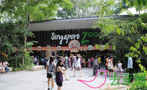 新加坡动物园攻略：交通怎么去，开放时间，门票，地图