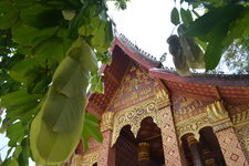神佛寺Wat Sene