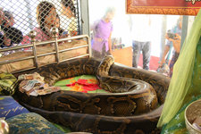 蛇庙Snake Pagoda