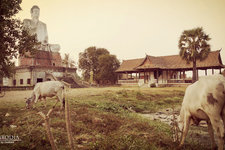 埃普农庙Wat Ek Phnom