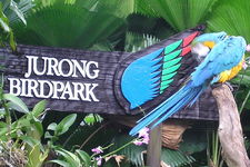 裕廊飞禽公园Jurong Bird Park