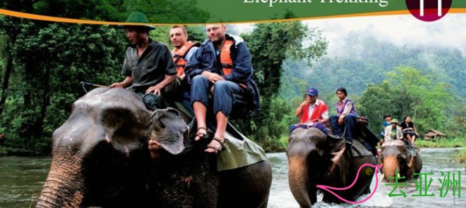 在泰国，可以象背上跋山涉水