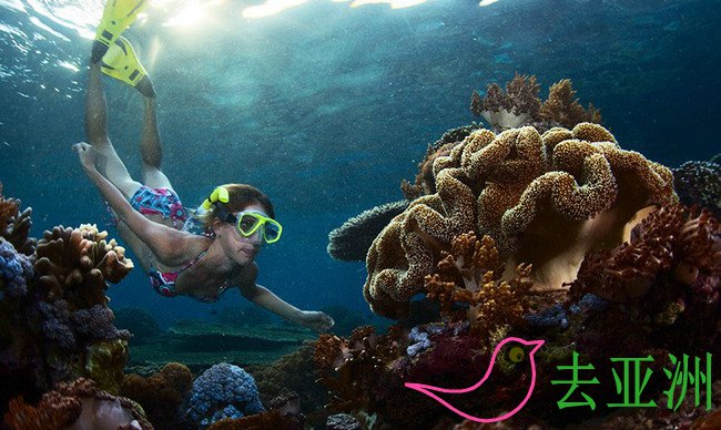 潜水杂志将印度尼西亚评为2017年最受欢迎的潜水