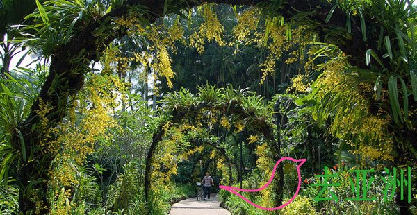 新加坡植物园攻略：怎么去，门票、地图、开放时间