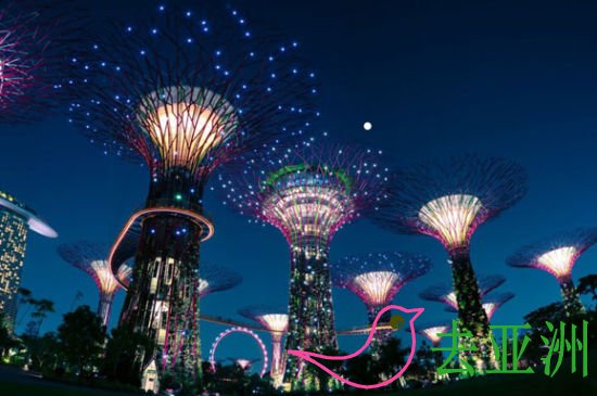 新加坡梦幻的滨海湾花园