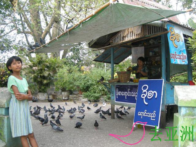 塔里面的一家喂鸽子的店，我说缅甸的女孩子不太漂亮吧!