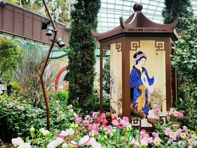 新加坡濱海灣花園新春花展，3千大麗花齊綻放