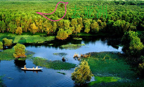 上乌明国家公园是世界罕有的湿地原生林区