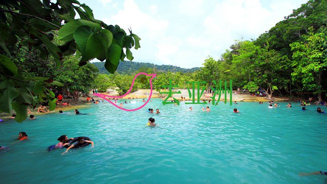 翡翠泳池 森林中心清澈泳池