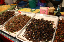 清迈门市场Chiang Mai Gate Market