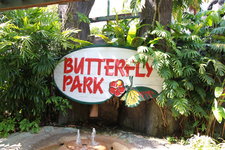 蝴蝶园与昆虫王国Butterfly Park and Insect Kingdom