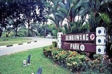 三巴旺公园Sembawang Park