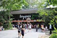 新加坡动物园Singapore Zoological Gardens