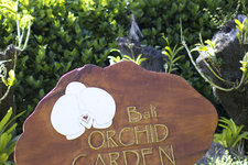 巴厘岛兰花园Bali Orchid Garden