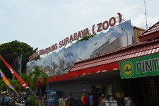 泗水动物园Surabaya Zoo
