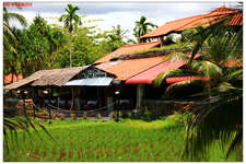 兰卡威岛稻田和博物馆Laman Padi Rice Garden