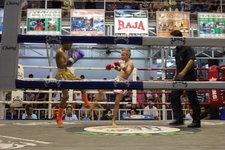 芭东泰拳表演Bangla Boxing Studium