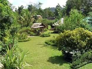 Habitat Bohol Tourist Inn